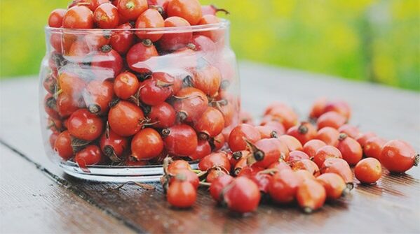 rosa canina per la cura del diabete