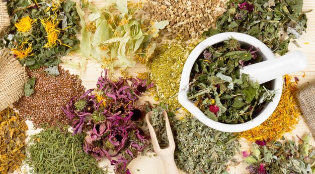 Piante medicinali che aiutano nella lotta contro il diabete